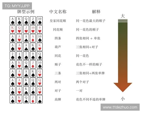 全面解读24点游戏扑克牌的规则与策略 新手必看的24点游戏玩法指南